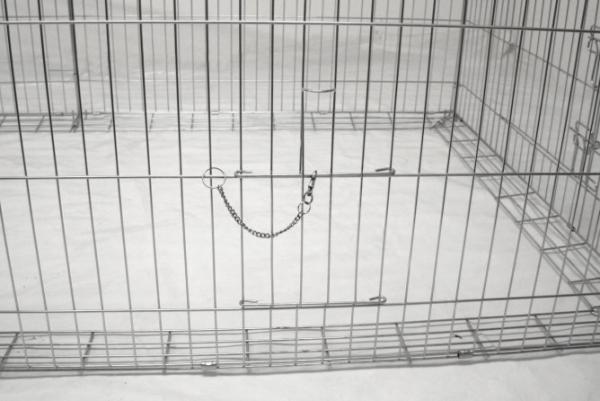 Freigehege Kaninchen - Freilaufgehege mit Ausbruchsperre für Nager, komplett geschlossen